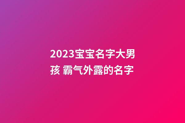 2023宝宝名字大男孩 霸气外露的名字